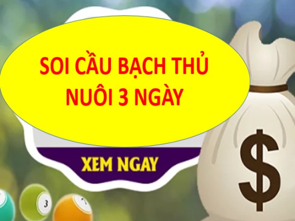 Nuôi lô bạch thủ khung 3 ngày