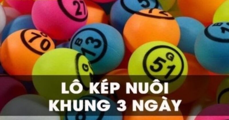 Nuôi lô bạch thủ kép khung 3 ngày