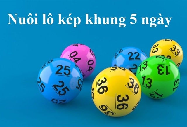 Nuôi lô bạch thủ kép khung 5 ngày chuẩn xác