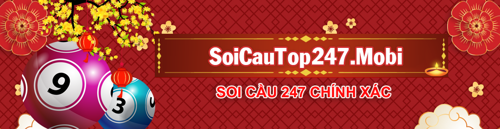 soi cau 247