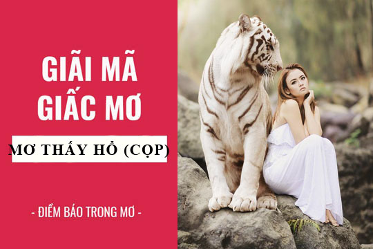 Mơ thấy thấy hổ đánh lô gì hôm nay