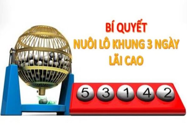 Kinh nghiệm nuôi lô khung 3 ngày mới nhất