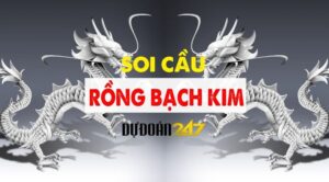 Soi-cau-247-rong-bach-kim