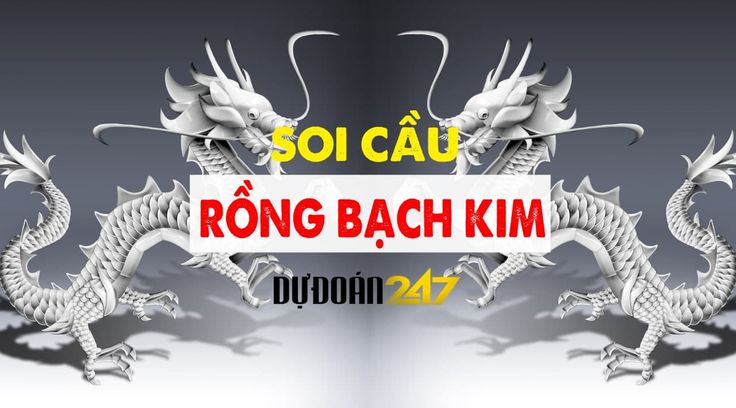 Soi cầu 247 rồng bạch kim chuẩn xác