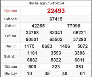 soi-cau-247-ngay-19-11-2024