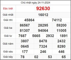 soi-cau-247-ngay-25-11-2024